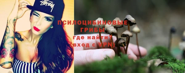 первитин Новодвинск