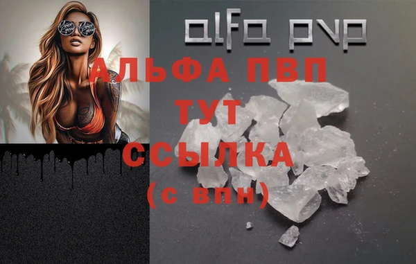 первитин Новодвинск